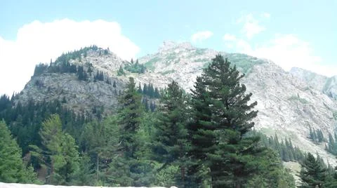 Mountains with trees in Canada Foto stock