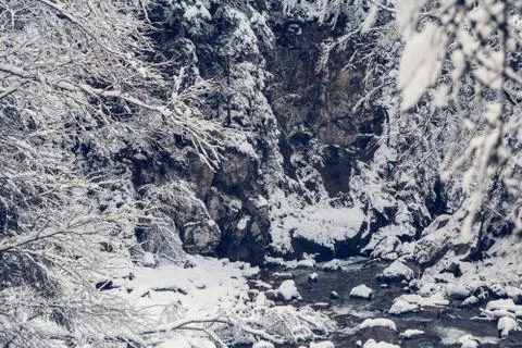 Mountains trees covered with snow.The trees are frozen.For background Stock Photos