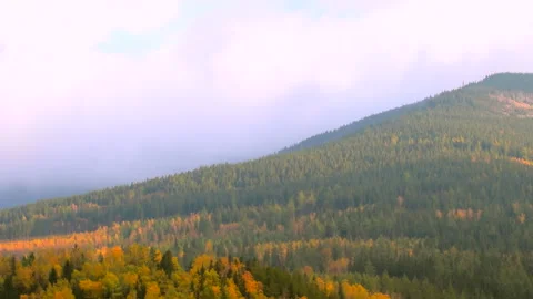 Mountains with trees landscape on cloudy day. Calm natural scene. Stock Footage 253109339