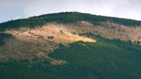 Mountains with trees landscape on cloudy day. Calm natural scene. Stock Footage 253585359