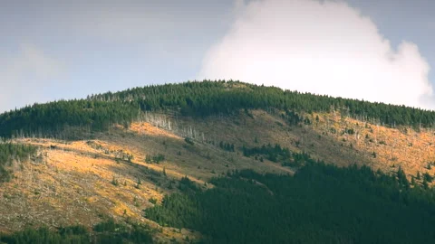 Mountains with trees landscape on cloudy day. Calm natural scene. Stock Footage 253585383