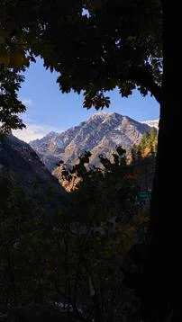 Mountains in the trees Stock Photos
