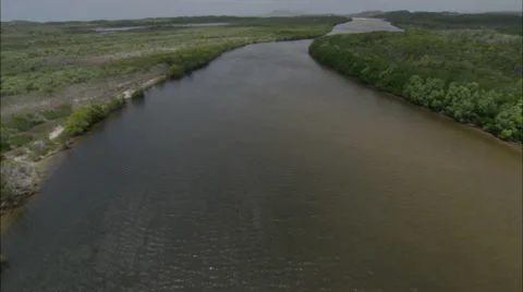 Mountains Trees River Stock Footage 38107909