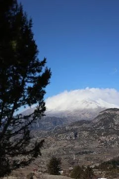 Mountains, trees, sky Stock Photos