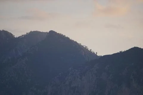 Mountains with trees at sunset in Cirali in Turkey Stock Photos