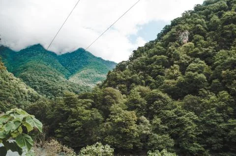 Mountains in the trees on which the clouds lie Stock Photos