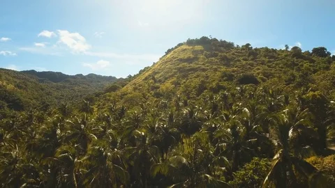 Mountains with tropical forest. Philippines Bohol island Stock Footage 75556887
