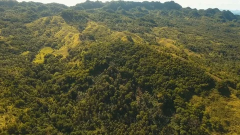 Mountains with tropical forest. Philippines Bohol island. Stock Footage