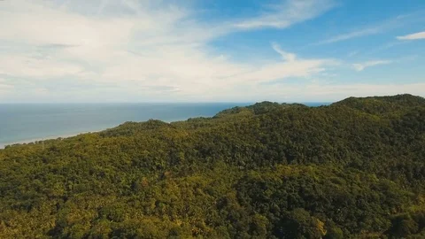 Mountains with tropical forest. Philippines Bohol island. Stock Footage