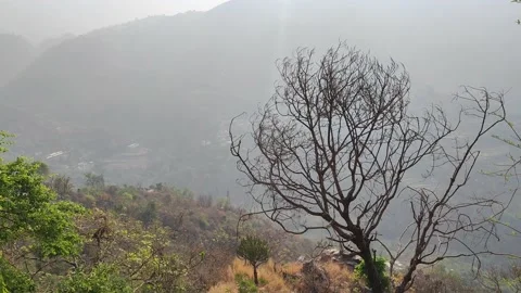 Mountains of Uttarakhand Video stock 191308033