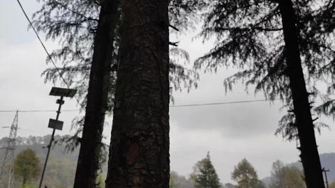 Mountains of Uttarakhand Video stock 191308334