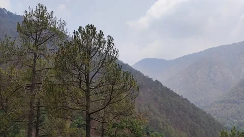 Mountains of Uttarakhand Vídeo Stock 191311284