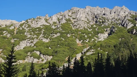 Mountains view with blue sky and green forest Video stock 129766456