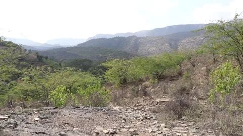 Mountains view with green trees. Stock Footage 170124837