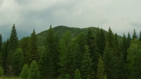 Mountains view from the moving car window. Stock Footage 218853185