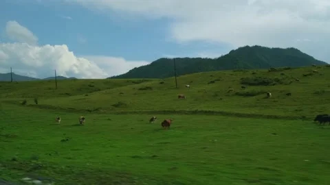 Mountains view from moving car window. Stock Footage 219266385