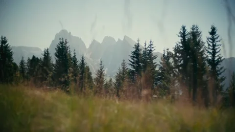 Mountains View over Pine Forest in the Summer Alpine Wilderness Landscape 库存影片 331166110