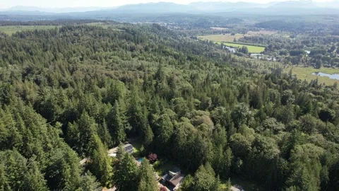 Mountains in Washington Stock Footage 282829251