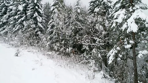 Mountains in winter Video stock 86424353