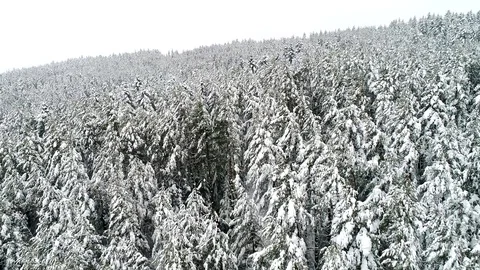 Mountains in winter Video stock 86425443