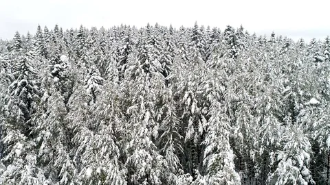 Mountains in winter Video stock 86426714