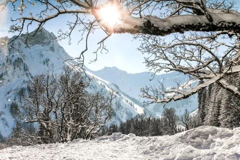 Mountains winter landscape with tree branches and deep snow on clear sunny day Stock Photos