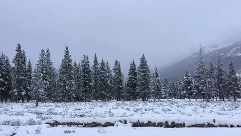 Mountains in Yellowstone During Winter Stock Footage 168863169