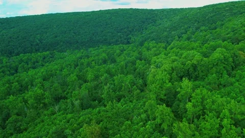 Mountainside and Windmills Stock Footage 248560258