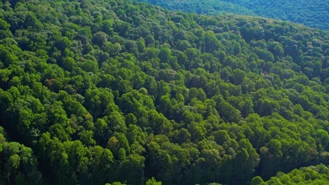 Mountainside and Windmills Stock Footage 248560305