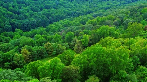 Mountainside and Windmills Stock Footage 248560868