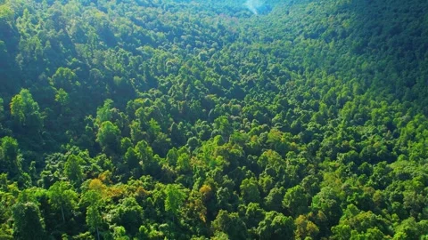 Mountainside and Windmills Stock Footage 248560896