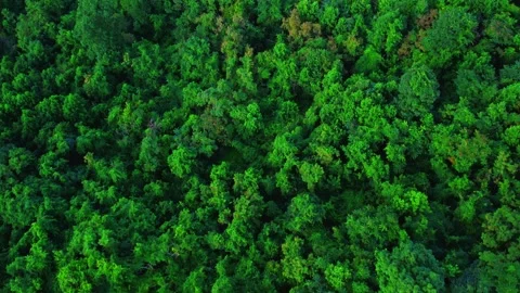 Mountainside and Windmills Stock Footage 248561083