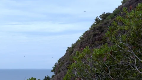 Mountainside with birds Stock Footage 114900904