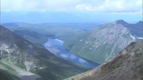 Mountainside Brown Bears Stock Footage 37412048