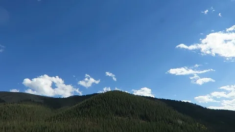 Mountainside covered with pine trees. Stock Footage 97385260