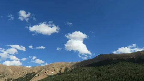 Mountainside covered in pine trees. Stockbeeldmateriaal 97385782