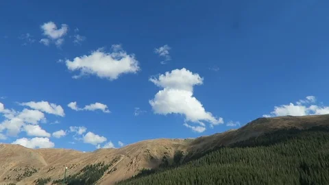 Mountainside covered in pine trees. Stockbeeldmateriaal 97386672