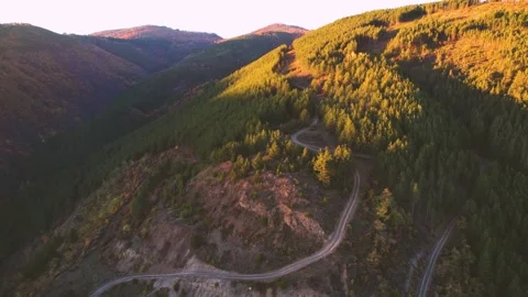 Mountainside Dirt Road Forest Sunset Dronie Stock Footage 201738725