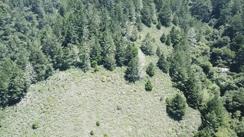 Mountainside 스톡 동영상 90435049