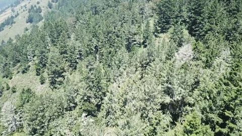 Mountainside Stock Footage 90435074