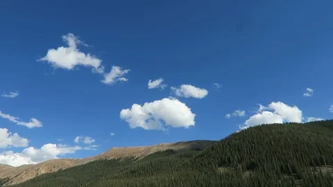 Mountainside full of pine trees. Stock Footage 97384651