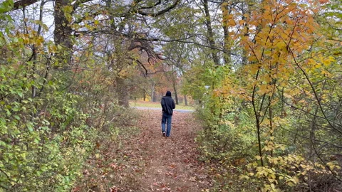 Mountainside, NJ, USA - 11-11-2021: young man walking on trail in the park Stock Footage 282928534