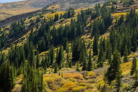 Mountainside 스톡 사진