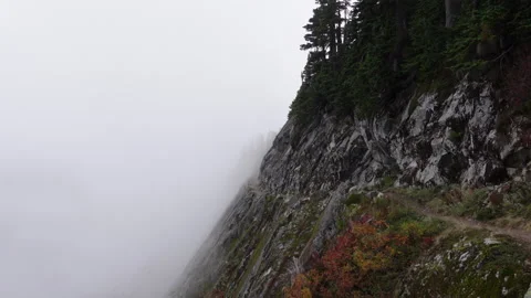 Mountainside trail and mist Washington Видео 219904593