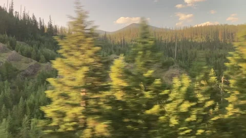Mountainside Trees Stock Footage 156973457