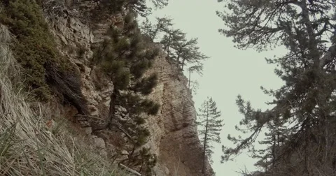 With mountainside visible beige rocks, trees and sea mist Stock Footage 53564804