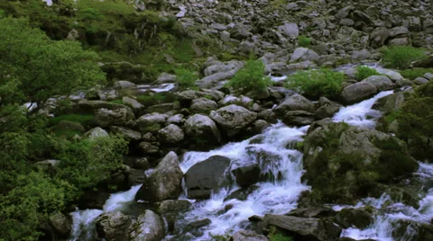 MountainsideWaterSurge-ForestSlope Stock Footage 38726206