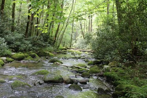MountainStream Stock Photos