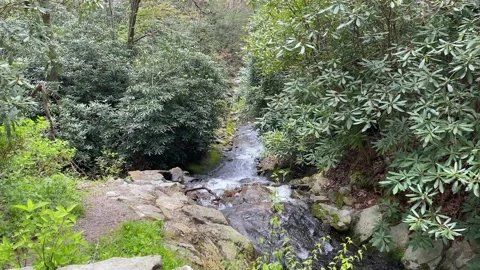 MountainStreamA Stock Footage 130449793