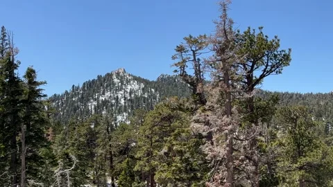 Mountaintop View in Mt. San Jacinto State Park Stock Footage 175839024